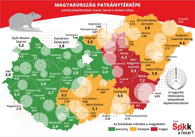 külföldről utalás magyar bankszámlára mennyi idol