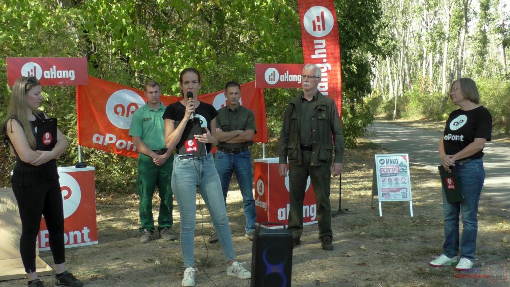 Makó aHang aPont Tóth Rebeka DALERD