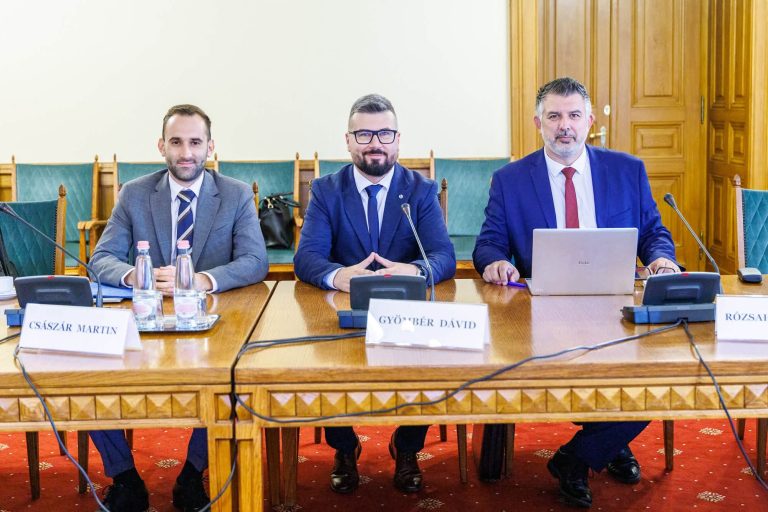 Gyömbér Dávid ﻿Makó Tisza